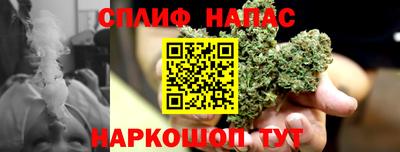apvp Ачхой-Мартан