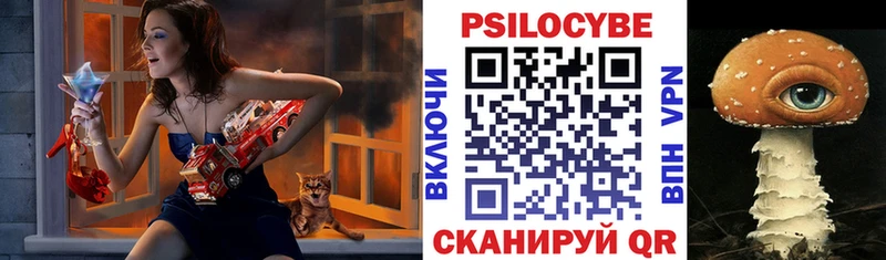как найти закладки  Элиста  Псилоцибиновые грибы MAGIC MUSHROOMS 