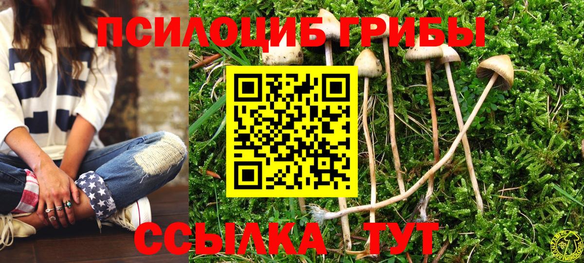 Элиста  Галлюциногенные грибы прущие грибы  Псилоцибиновые грибы GOLDEN TEACHER  Вход с VPN 