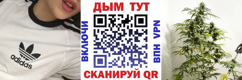 hydra маркетплейс  Элиста  Бошки марихуана VHQ  купить наркоту 